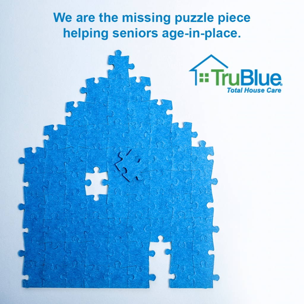 house made of puzzle pieces