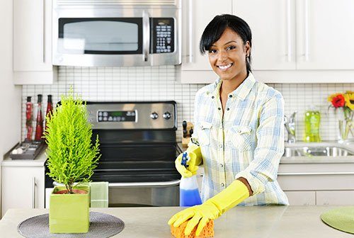 Woman Maid Cleaning a Kitchen