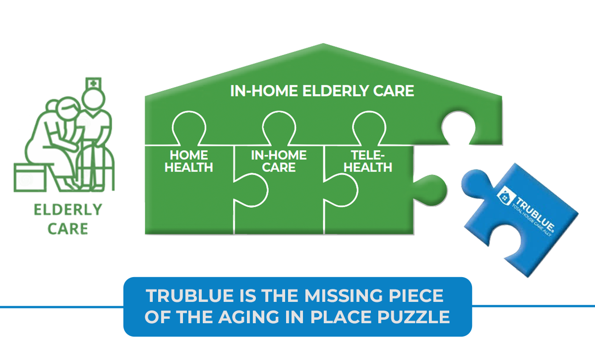 Missing Piece of the Puzzle Graphic with Text and Bubble Missing Piece of the Puzzle Graphic with Text and Bubble